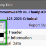 show_section_visibility.png